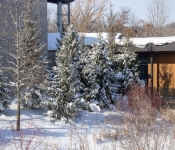 2019 02 21 MNNewZoo 001